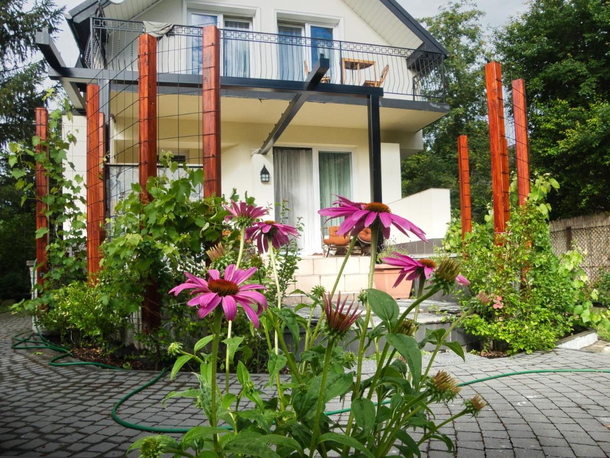 Villa Hasaba Krościenko Zewnętrze zdjęcie