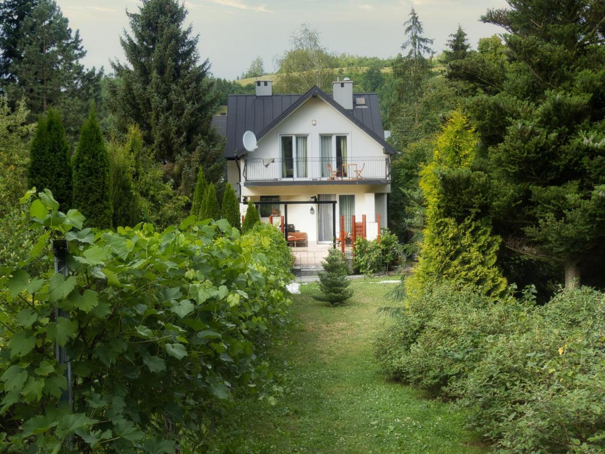 Villa Hasaba Krościenko Zewnętrze zdjęcie