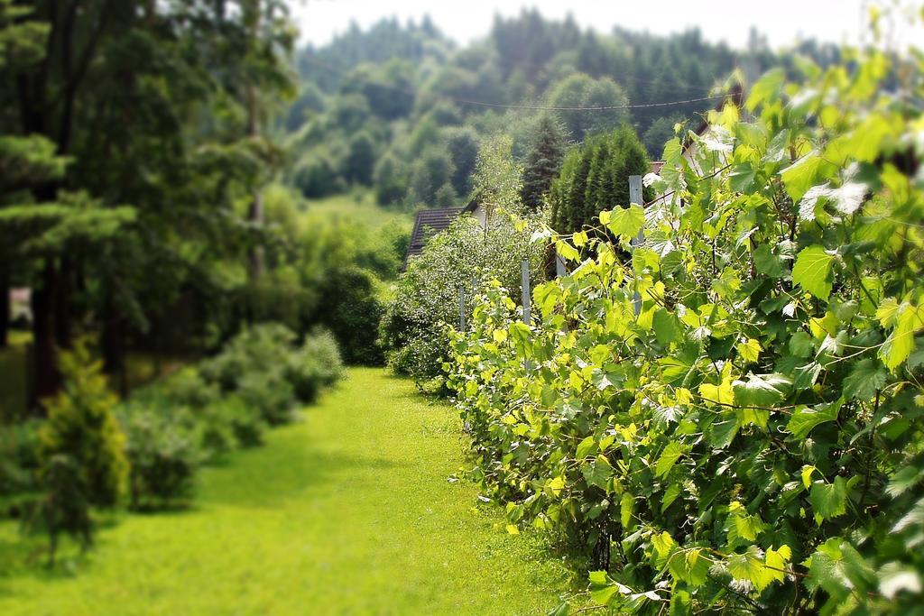 Villa Hasaba Krościenko Zewnętrze zdjęcie